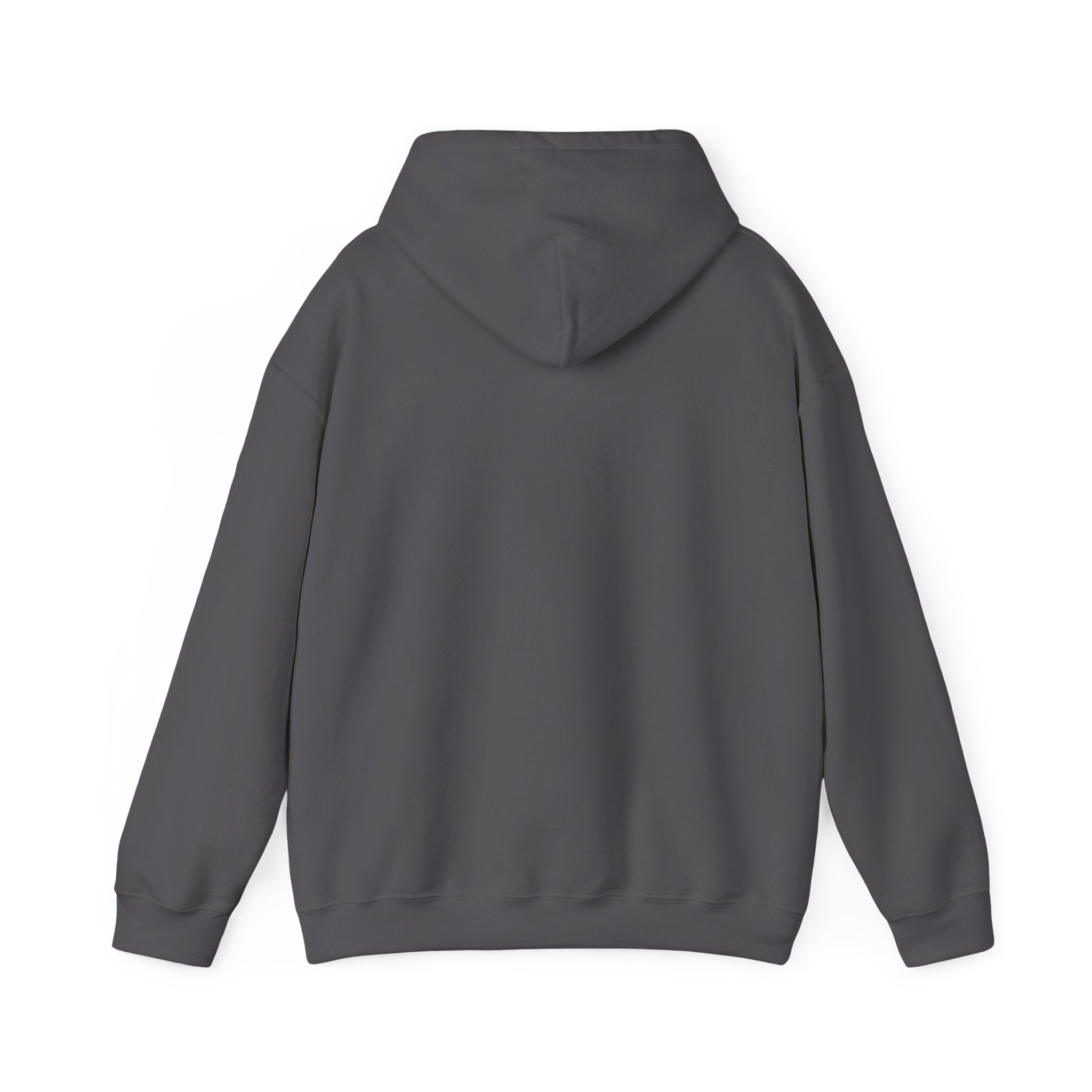 "I AM BLACK HISTORY"- Hooded Sweatshirt