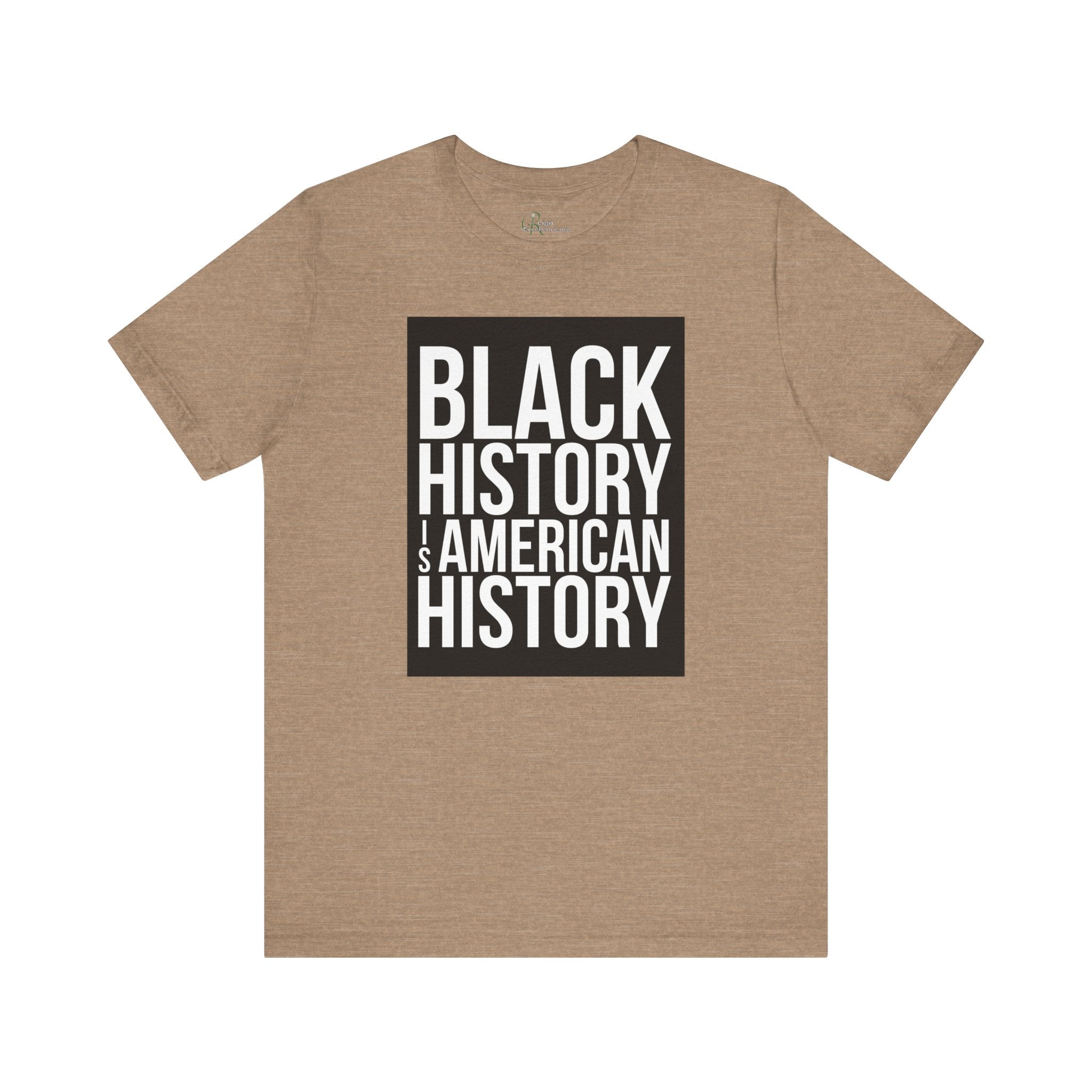 Black History is American History Tee