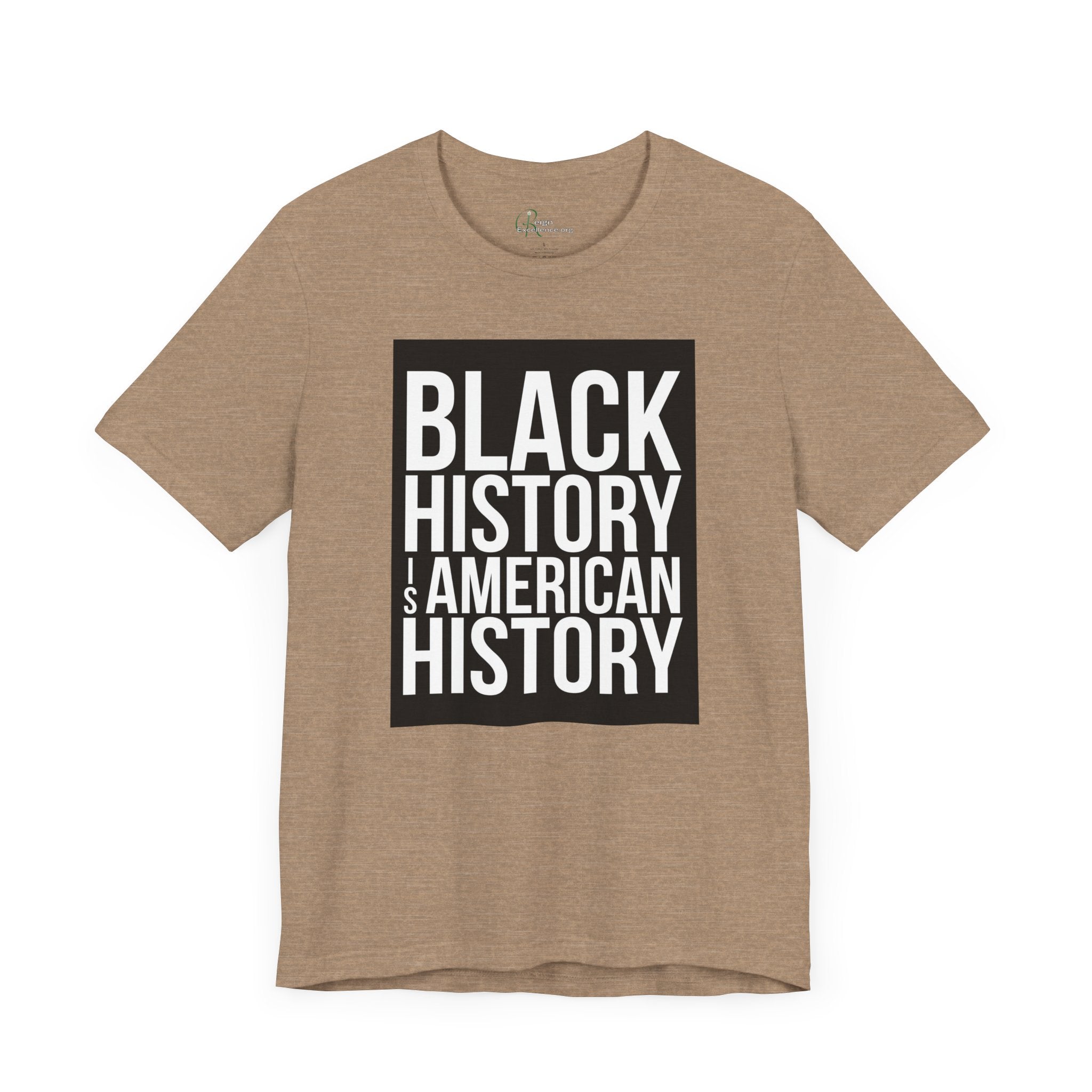 Black History is American History Tee