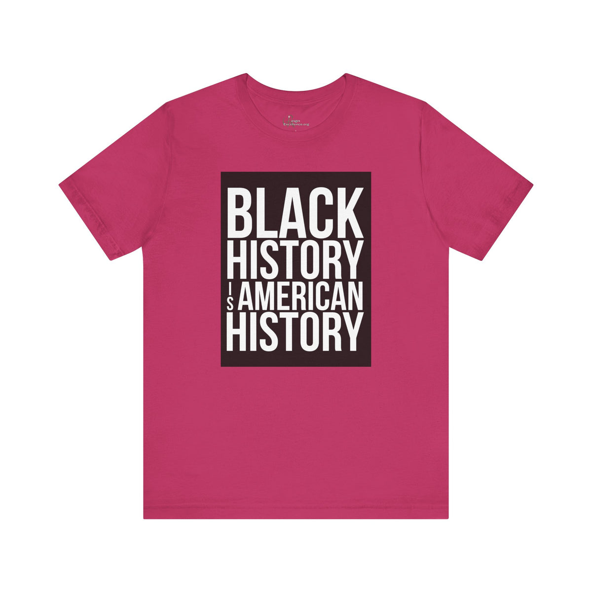 Black History is American History Tee