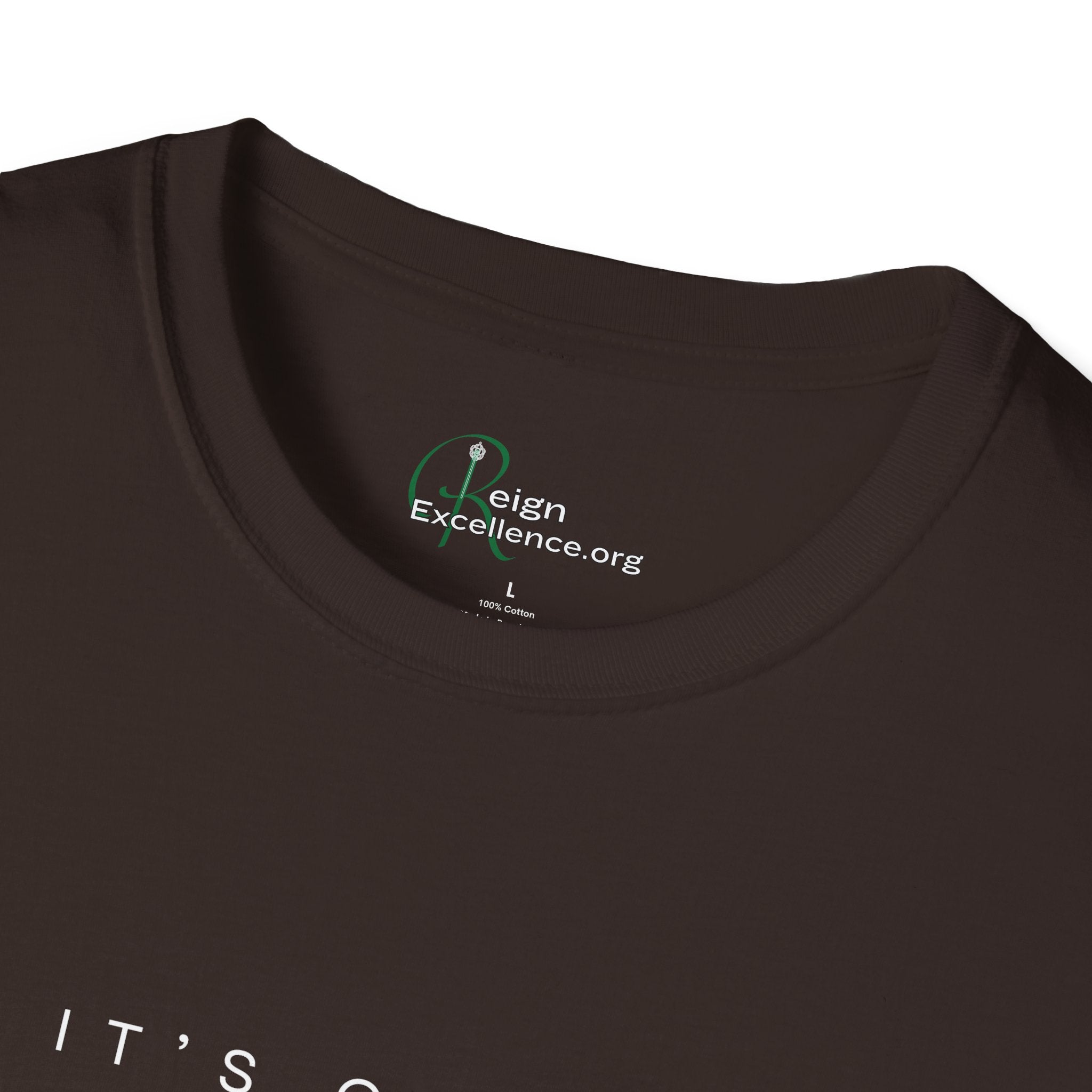 "It's Giving HBCU Excellence T-Shirt