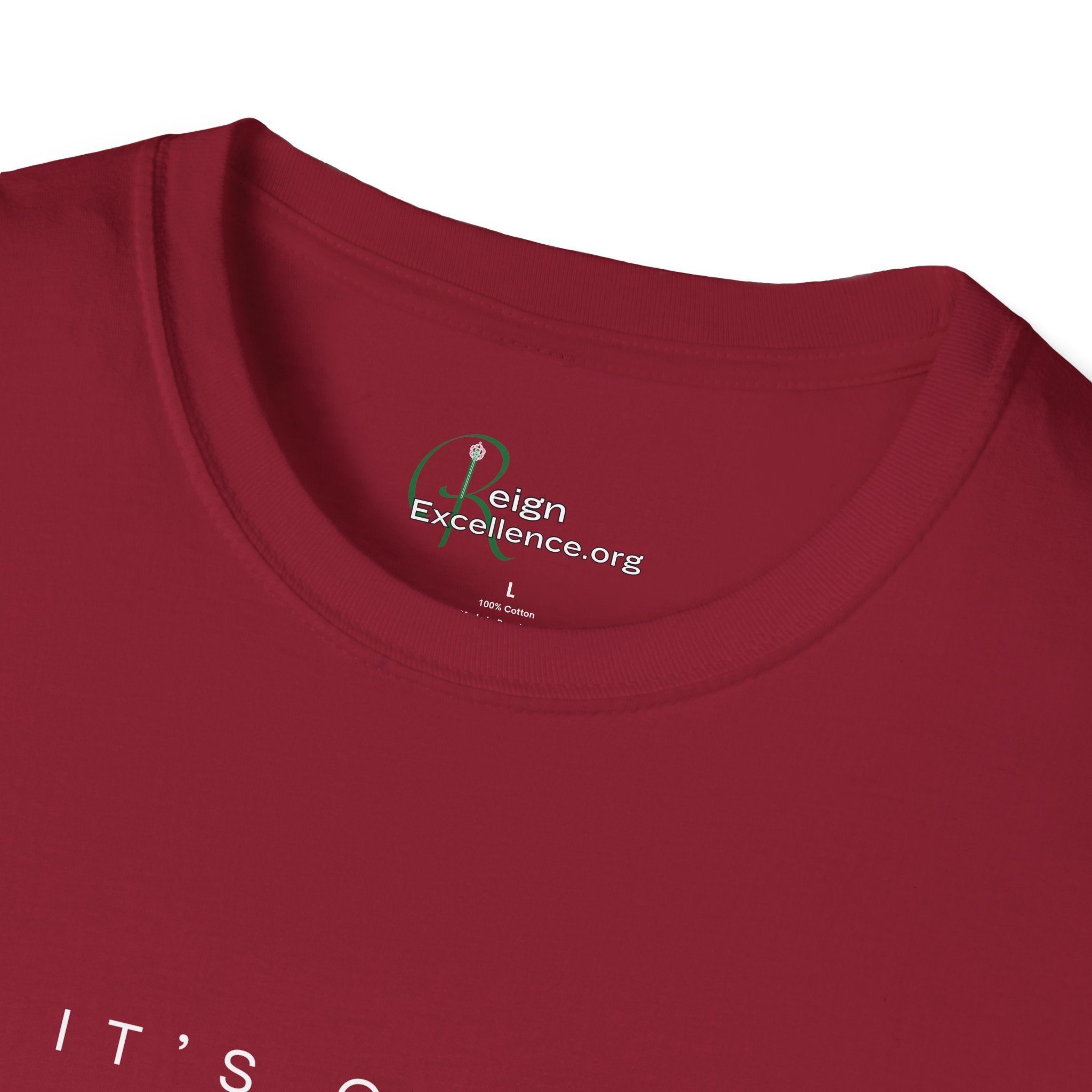 "It's Giving HBCU Excellence T-Shirt