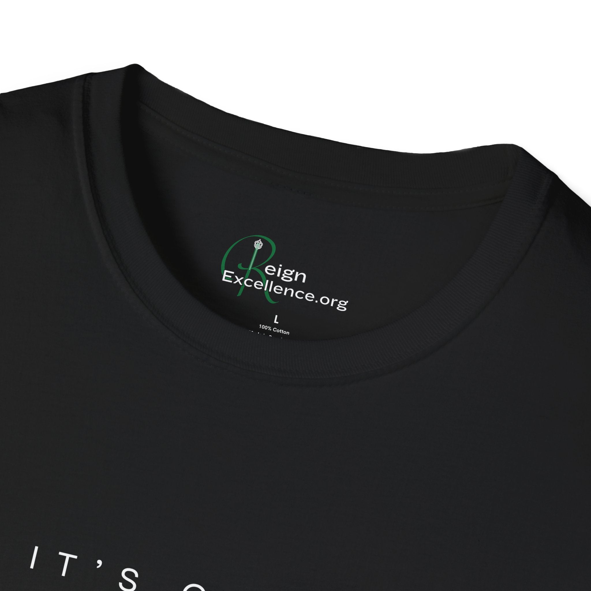 "It's Giving HBCU Excellence T-Shirt