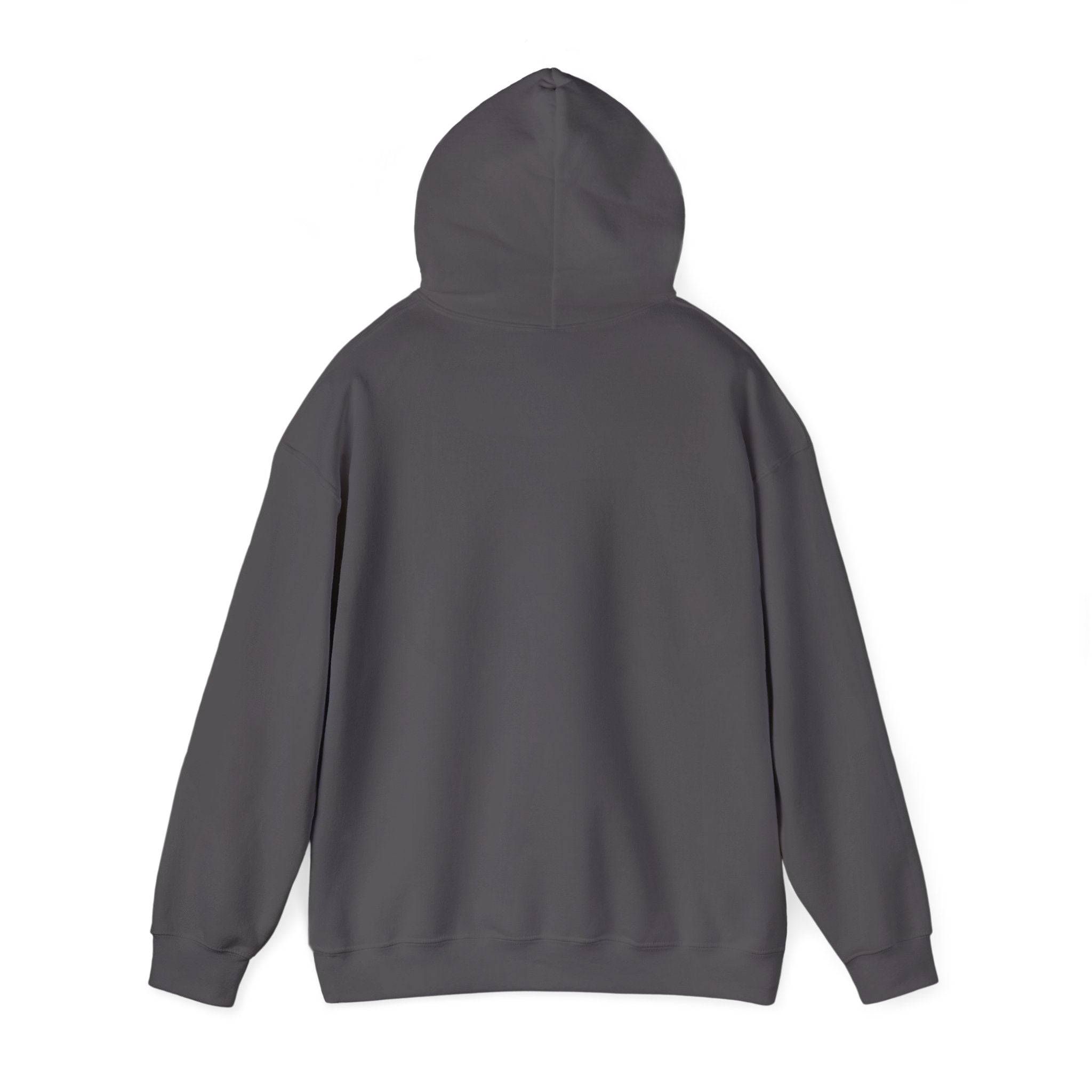 "I AM BLACK HISTORY"- Hooded Sweatshirt